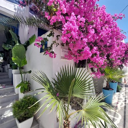 Doron Hotel Delfini Naxos City Dış mekan fotoğraf