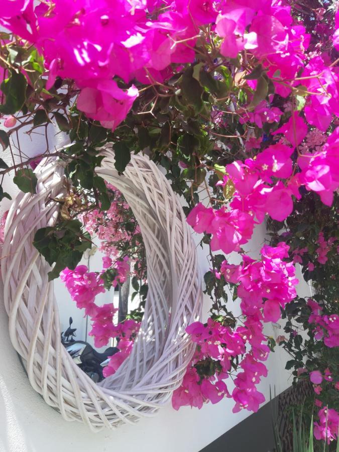 Doron Hotel Delfini Naxos City Dış mekan fotoğraf
