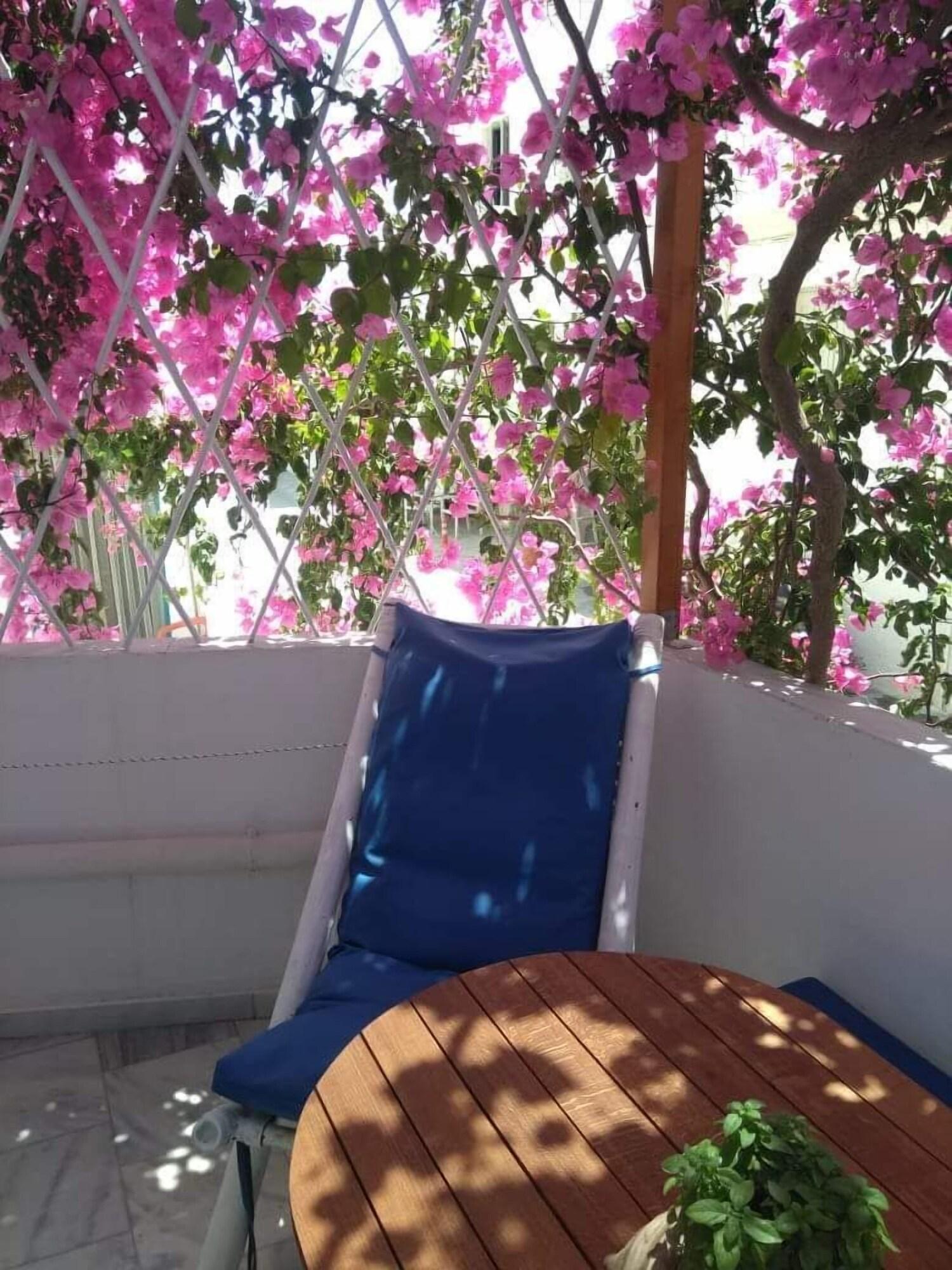 Doron Hotel Delfini Naxos City Dış mekan fotoğraf