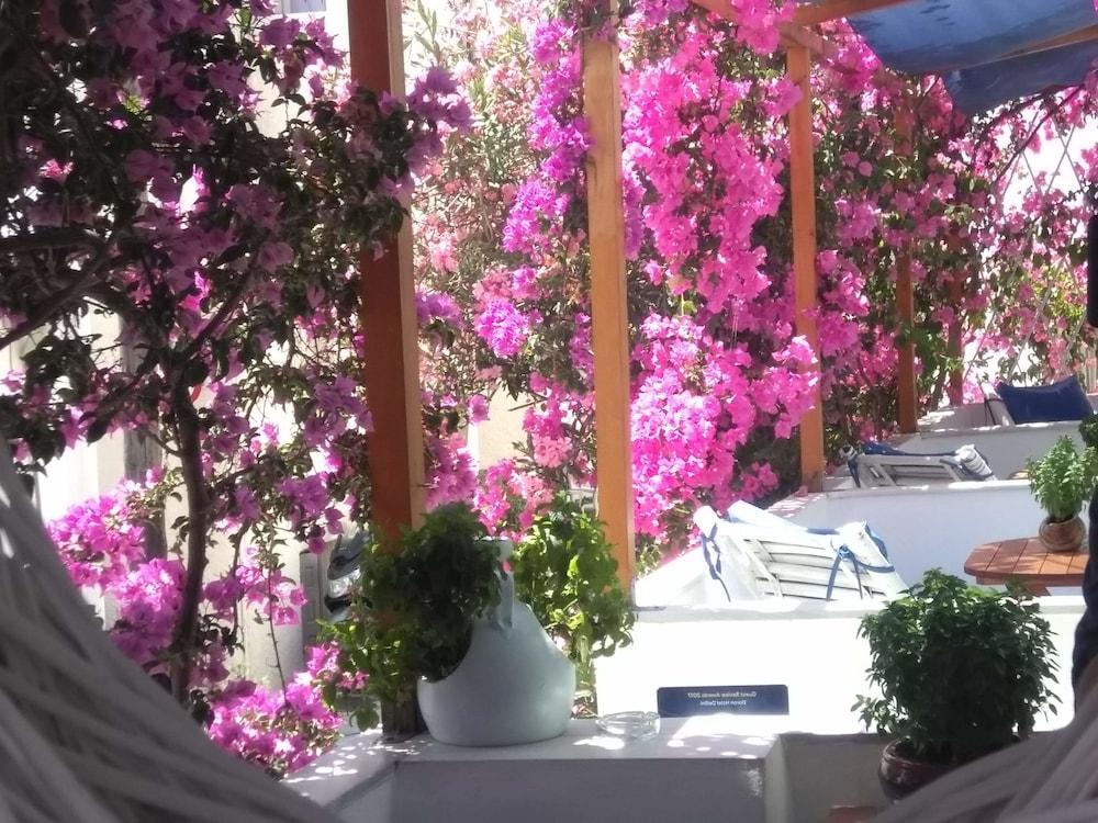 Doron Hotel Delfini Naxos City Dış mekan fotoğraf