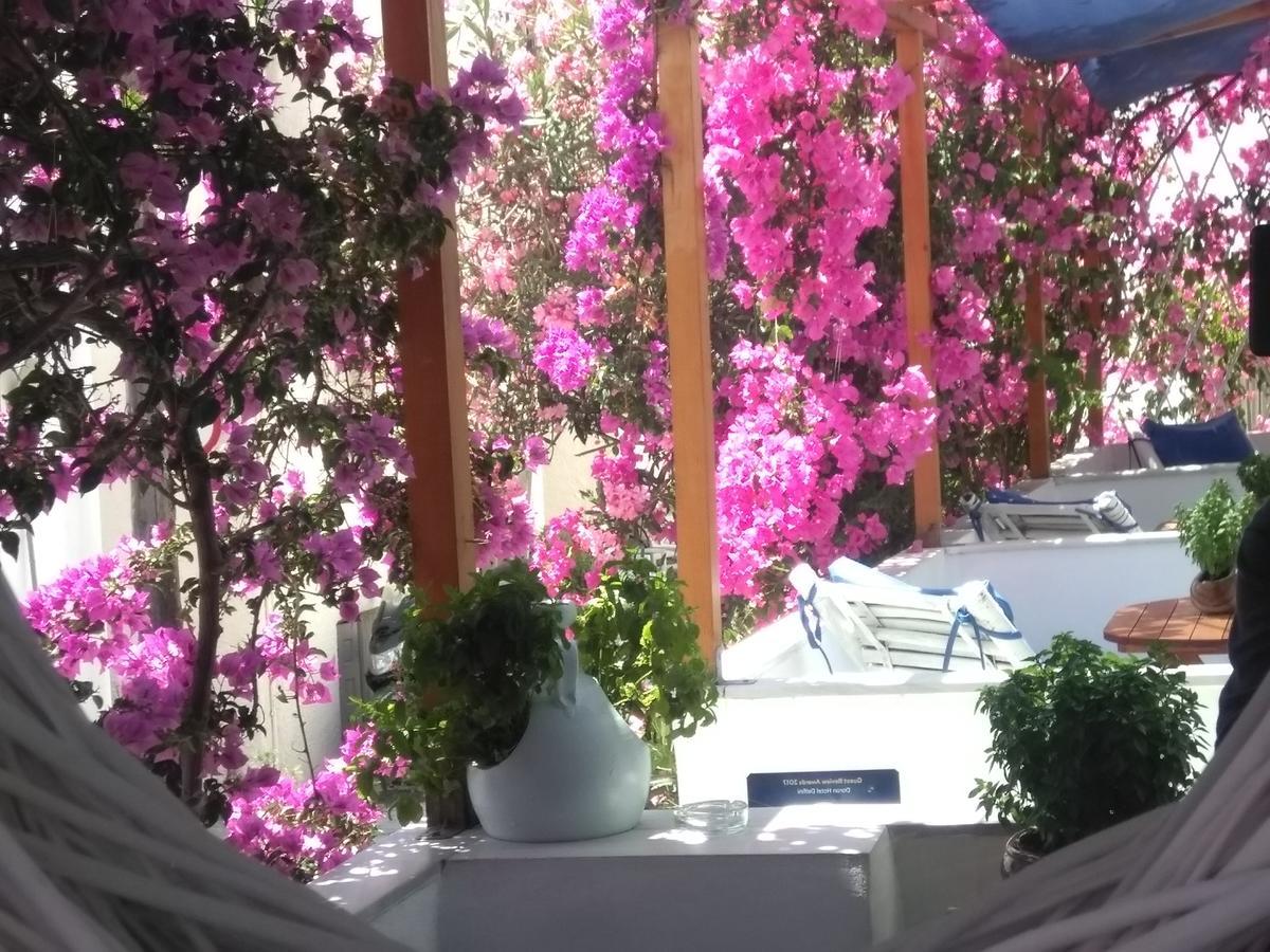 Doron Hotel Delfini Naxos City Dış mekan fotoğraf