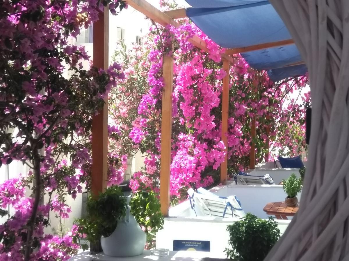 Doron Hotel Delfini Naxos City Dış mekan fotoğraf